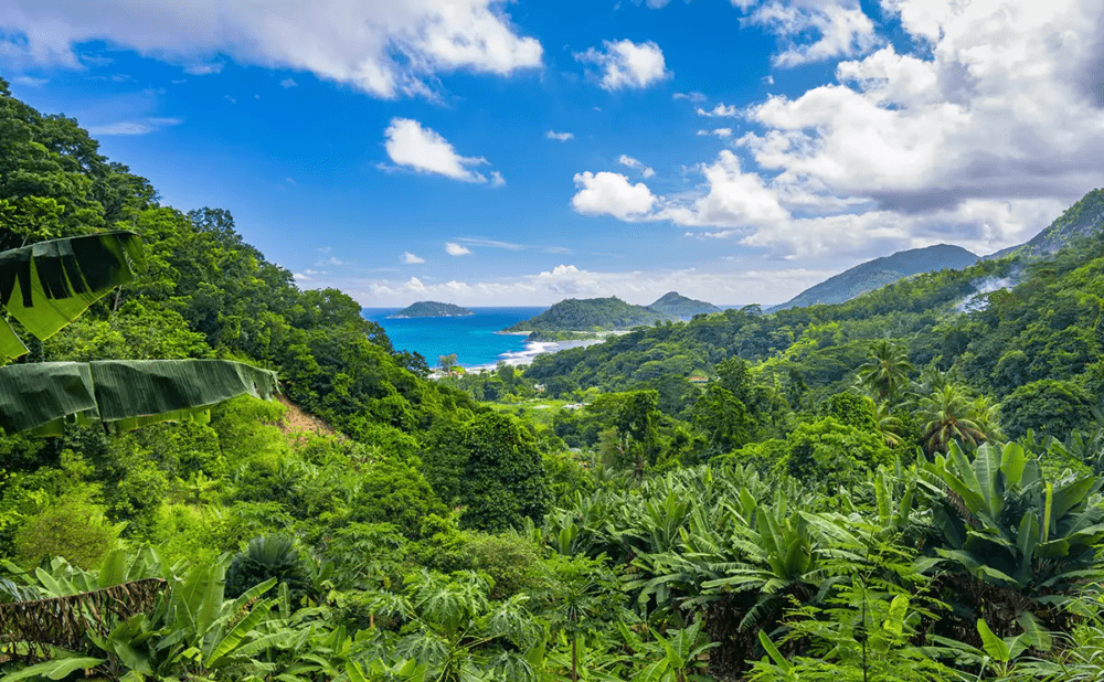 Dónde ir a las Islas Seychelles