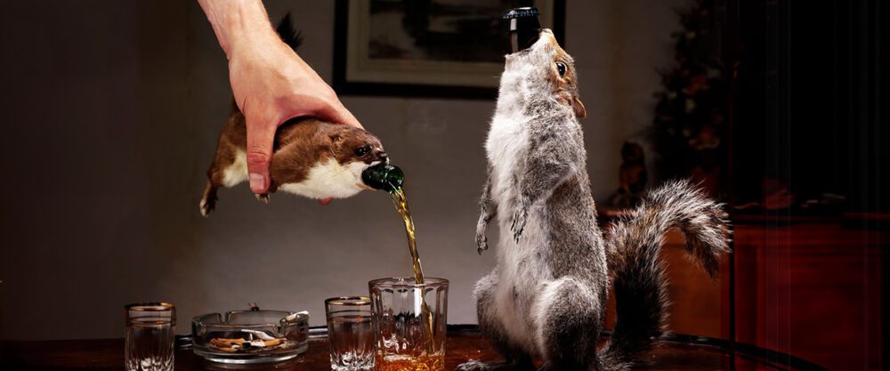 Brewdog The End Of History 55 Por Ciento Final