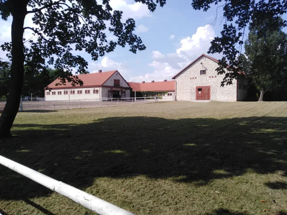 Caballos árabes en Polonia