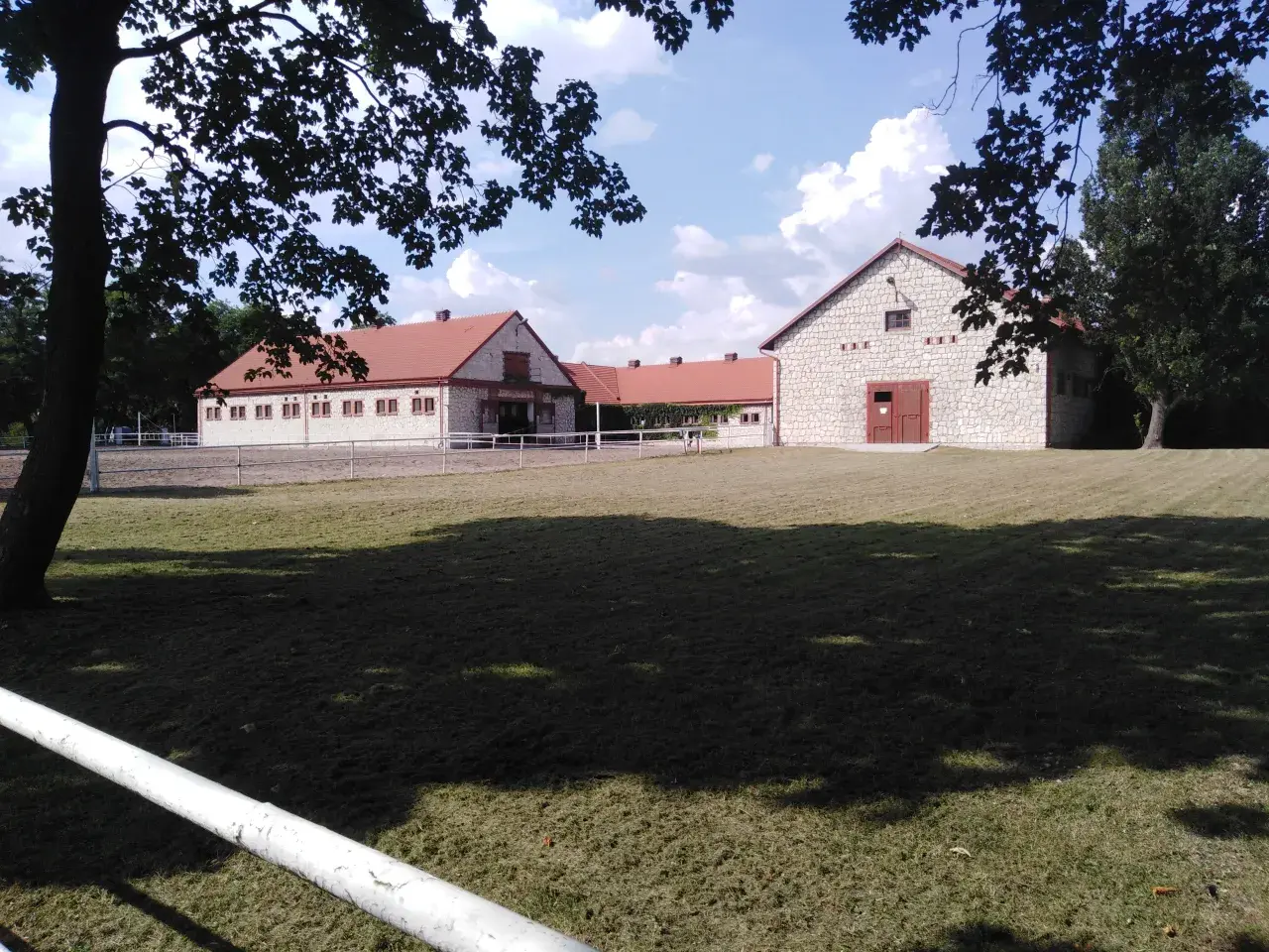 Caballos Árabes en Polonia