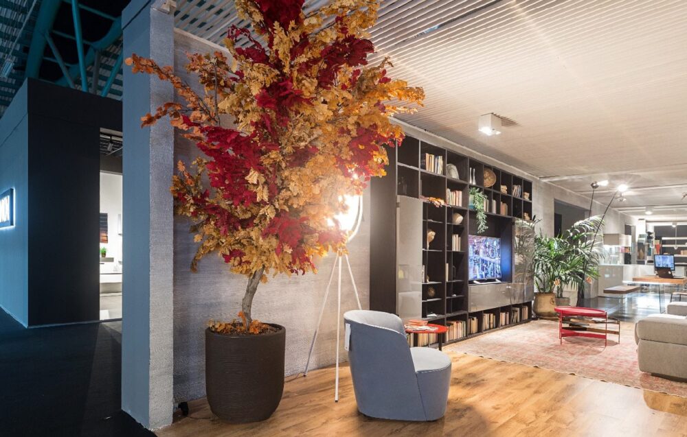 Cómo estabilizar las plantas Blog