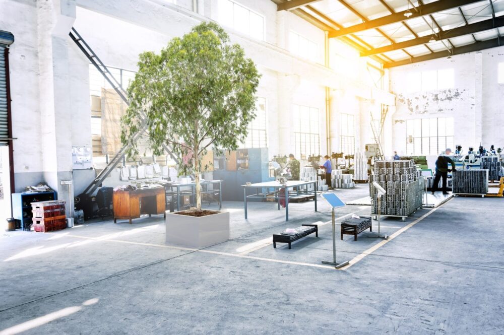 Cómo estabilizar las plantas