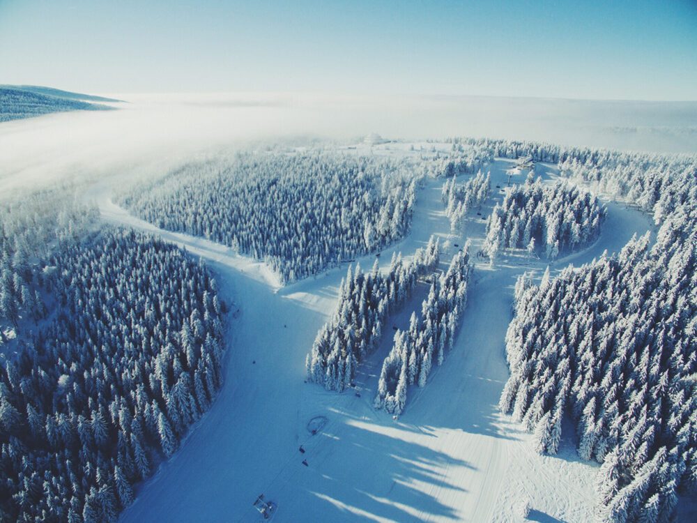 Procesado con Vscocam con el filtro F2