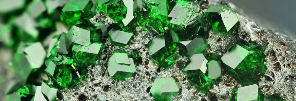 crema facial exclusiva