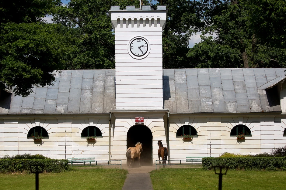 Yeguadas de Caballos Árabes en Polonia