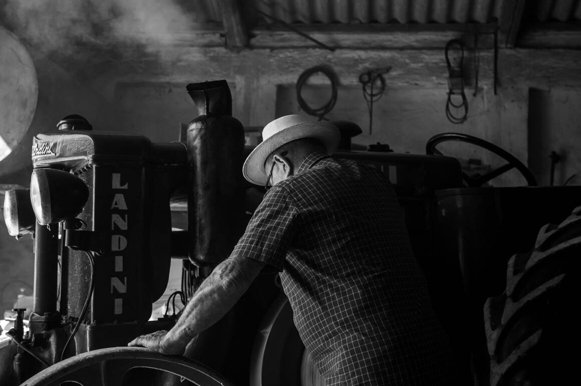 De qué tipo de harina hacen los italianos la pasta