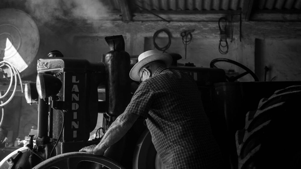 De qué harina hacen los italianos la pasta