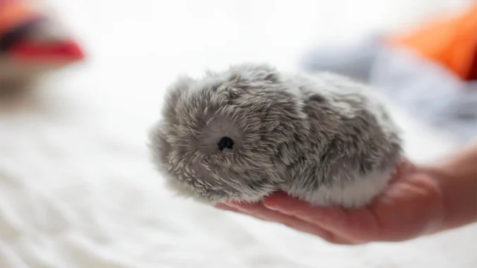 ¿Es Moflin un robot?