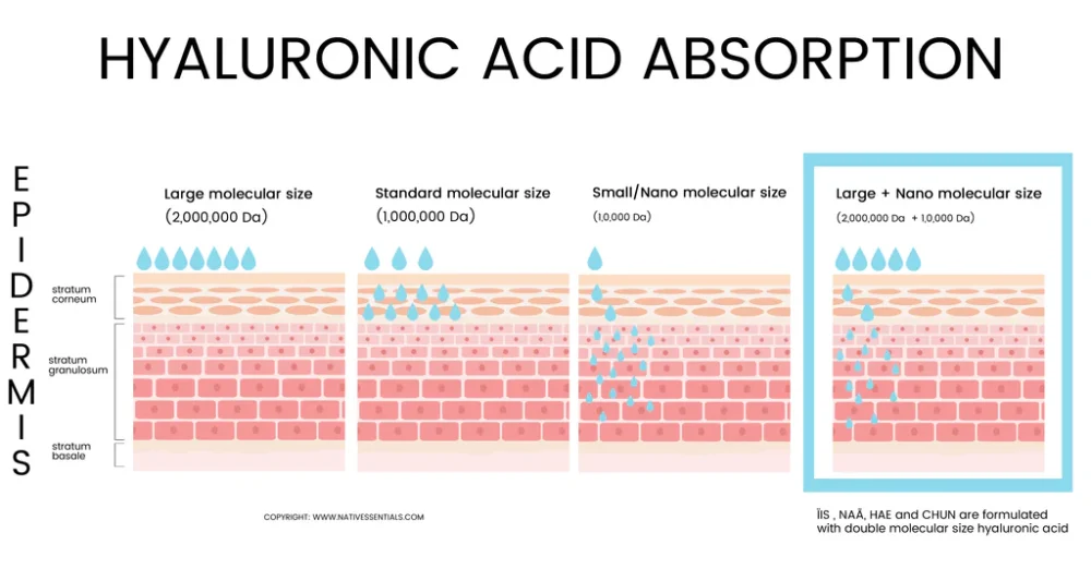 Ha Skin Righ Editado 1 1024x1024