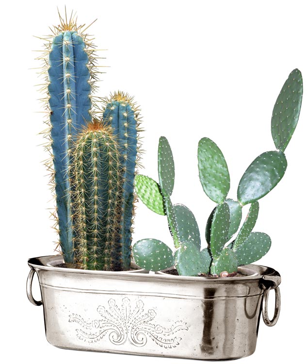 maceteros de interior