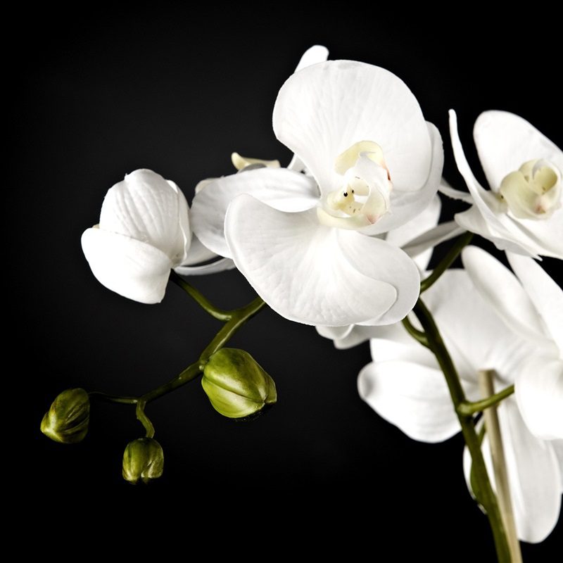 maravillosas flores artificiales