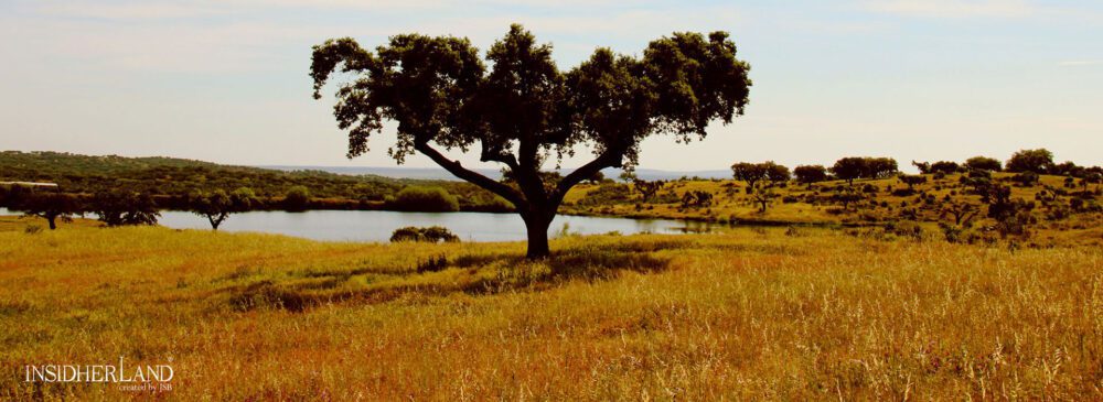 minimalismo interior