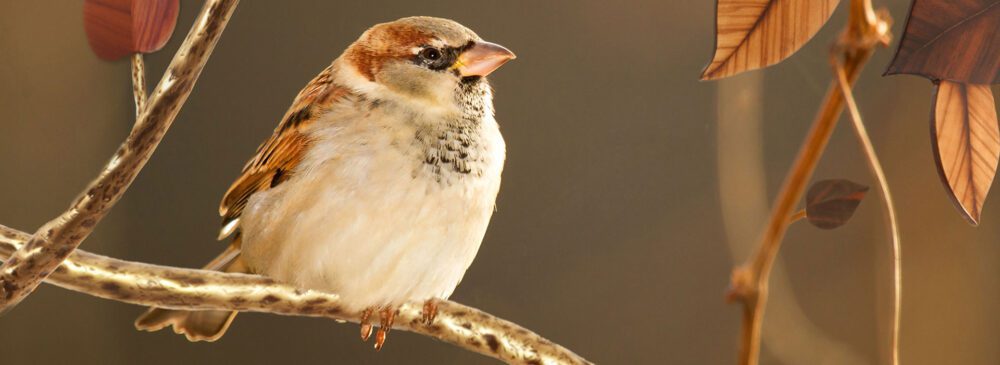 mueble de estilo minimalista