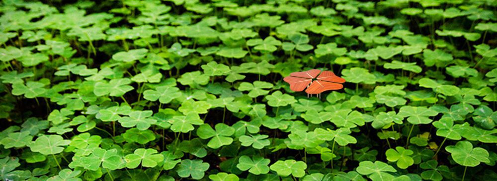 muebles de estilo minimalista