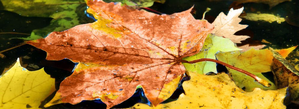 muebles estilo minimalista