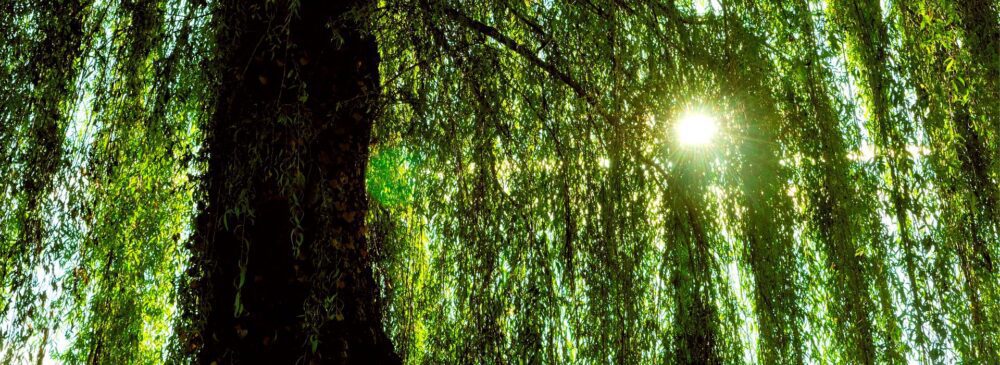 muebles minimalistas en un interior de lujo