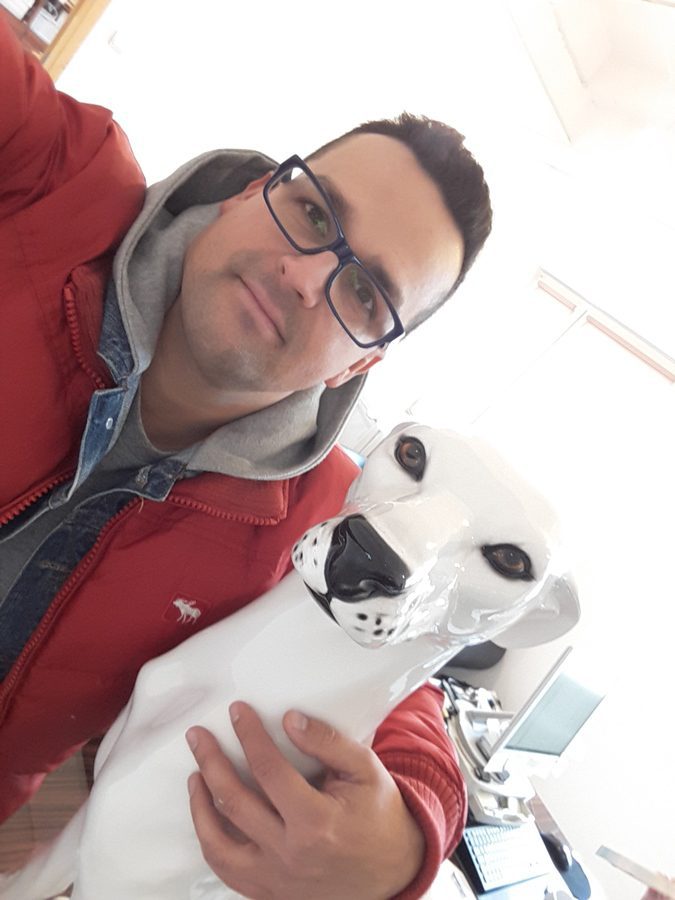 perros decorativos de lujo