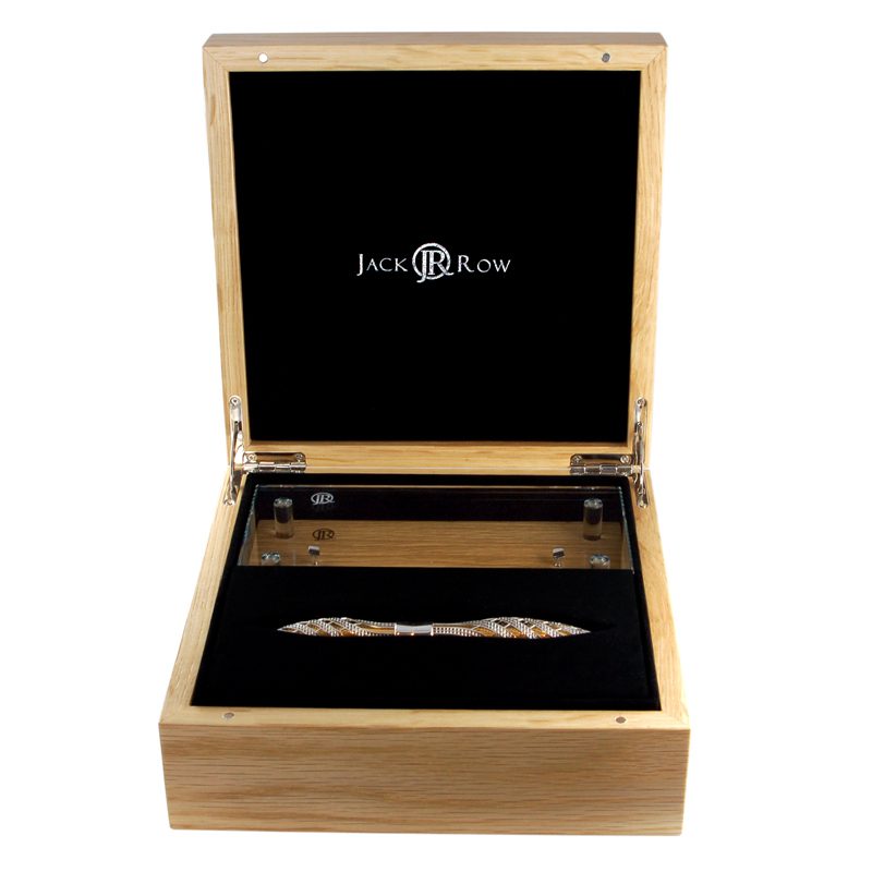 pluma en un estuche de lujo