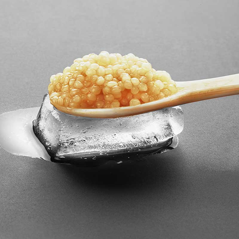 ¿Qué es Kest Kawior?