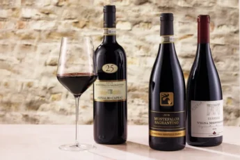 Ranking de vinos italianos: Top 10 botellas que debes conocer