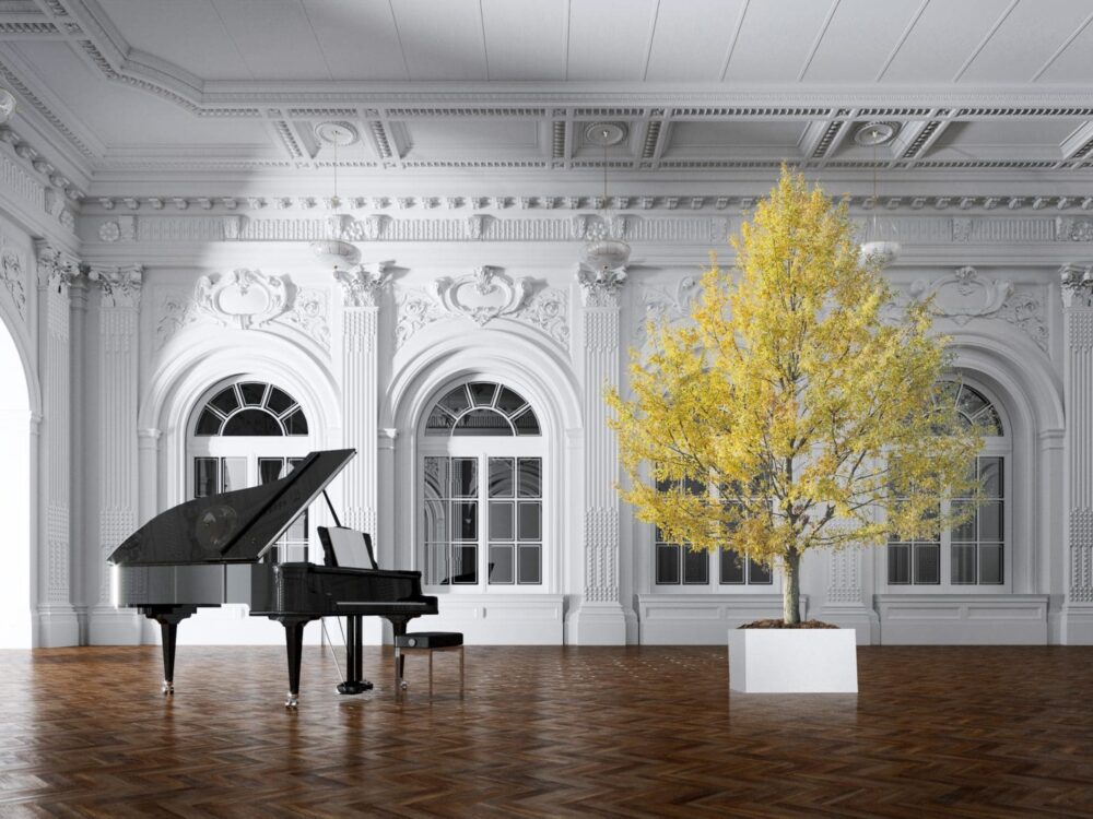 Plantas estabilizadas