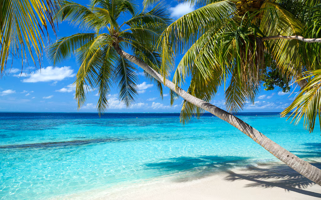 Vacaciones en el Caribe