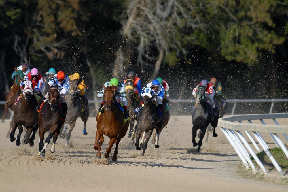 Carreras de Caballos 2026