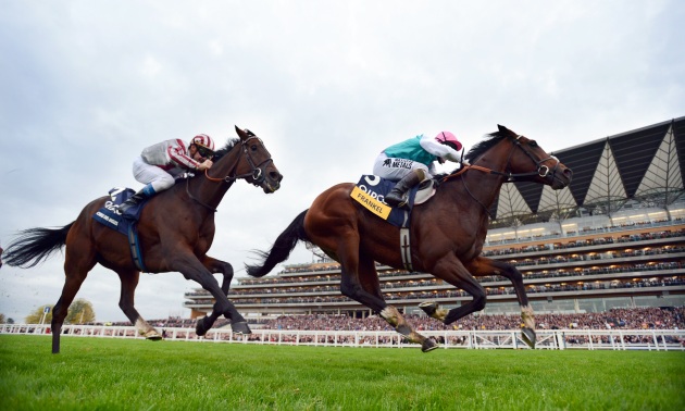 Frankel gana ante Cirrus Des Aigles 20 10 12 Foto Bill Selwyn