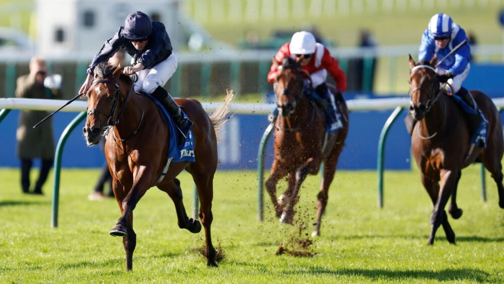 Carreras de caballos europeas