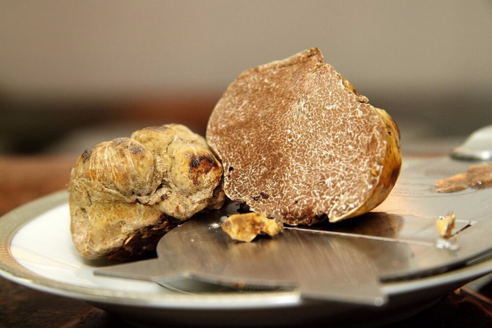 ¿Cuánto cuestan las trufas más caras?