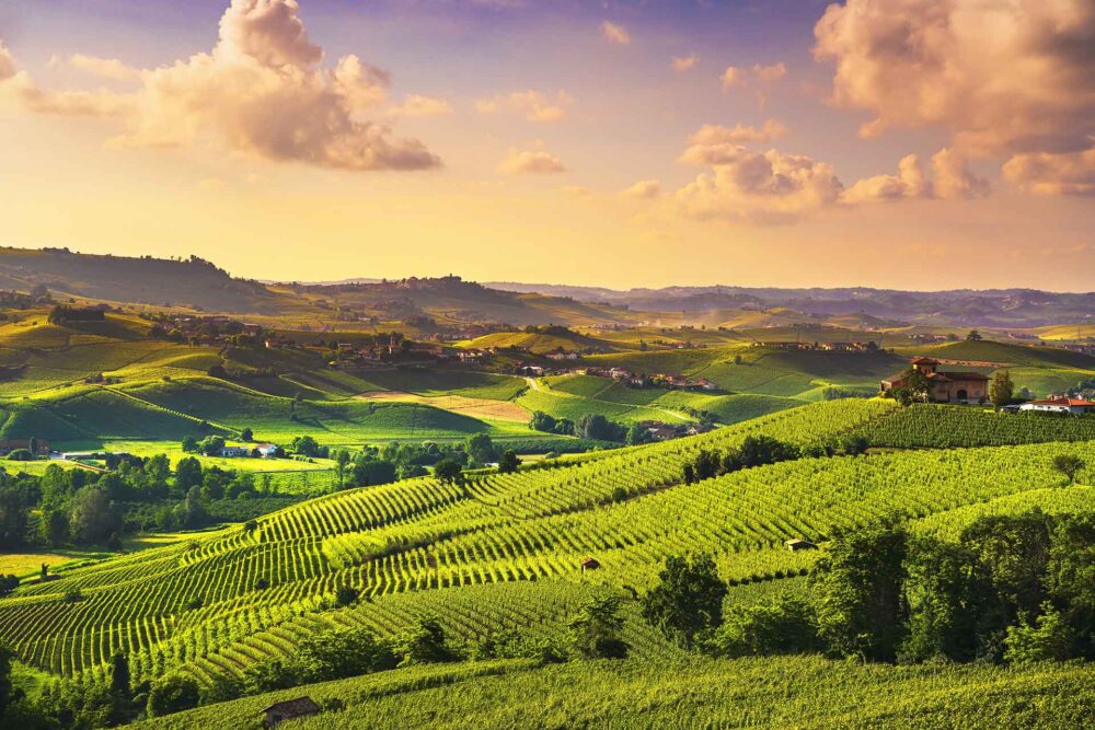 Panorama al atardecer de los viñedos de Langhe, Barolo, Piamonte, Italia, Europa