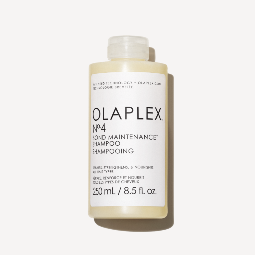 ¿Qué Champú Elegir?
