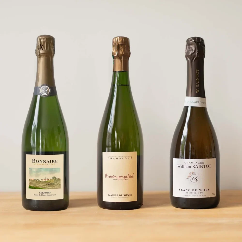 Blanc De Blancs Vs Blanc De Noirs Diferencias