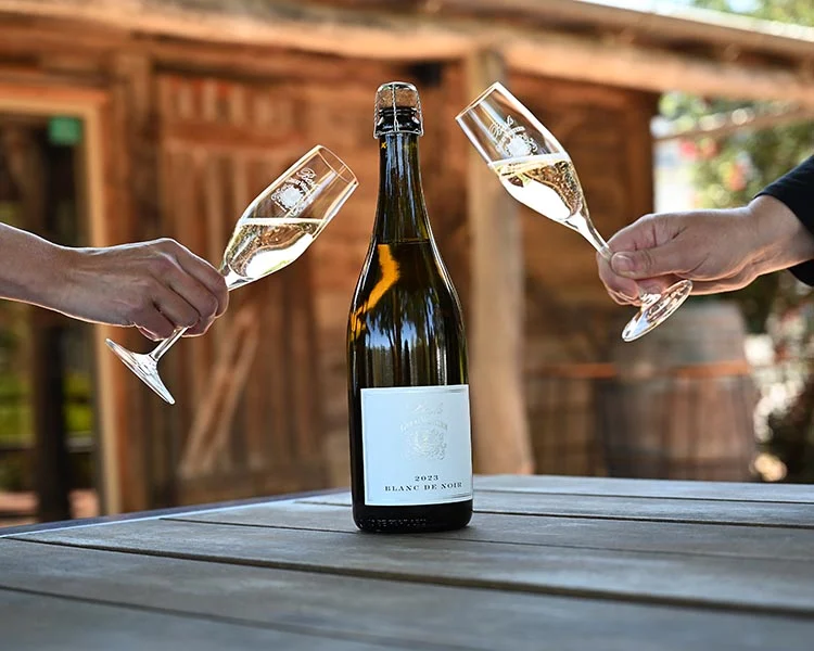 Blanc De Blancs Vs Blanc De Noirs Precio